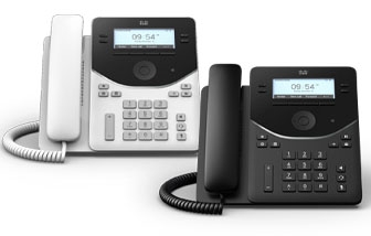 Model_336-x-214-Cisco 9841